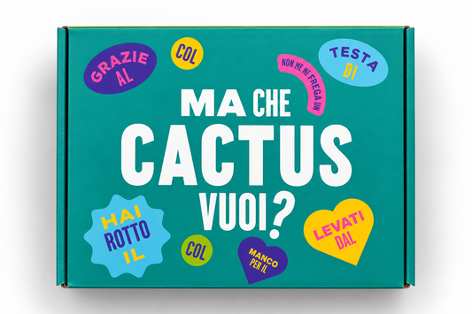 BOX CACTUS AMARO