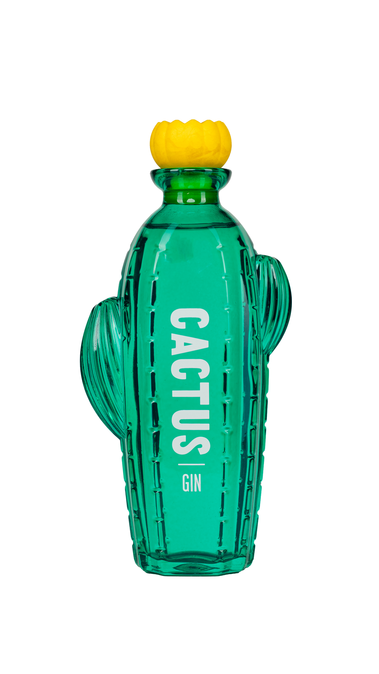 CACTUS GIN
